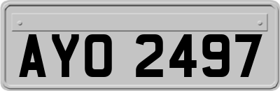 AYO2497
