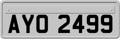 AYO2499
