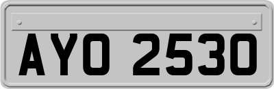 AYO2530
