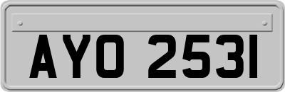 AYO2531