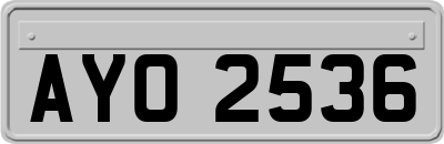 AYO2536