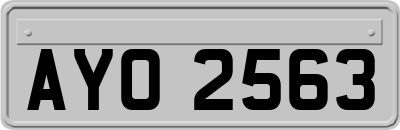 AYO2563