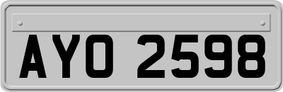 AYO2598