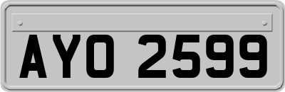 AYO2599