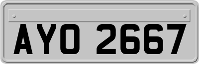 AYO2667