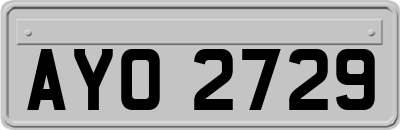 AYO2729