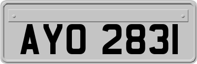 AYO2831