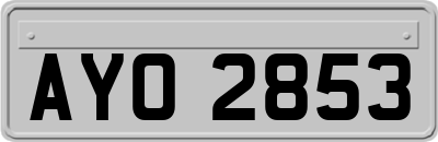 AYO2853