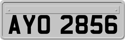 AYO2856