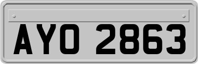 AYO2863
