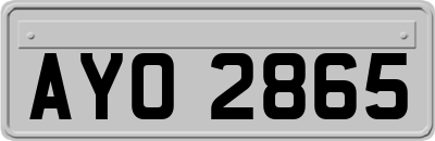 AYO2865