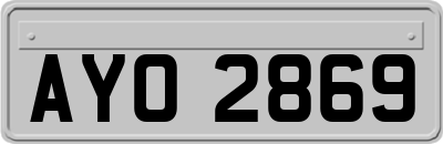 AYO2869