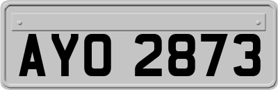 AYO2873