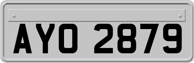 AYO2879