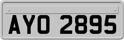 AYO2895