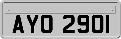 AYO2901
