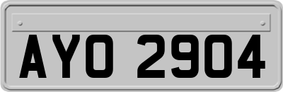 AYO2904
