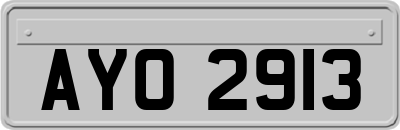 AYO2913