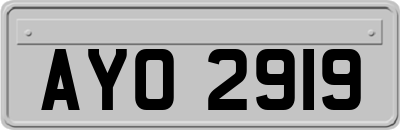 AYO2919