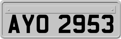 AYO2953