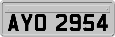 AYO2954