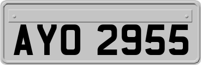 AYO2955