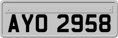AYO2958