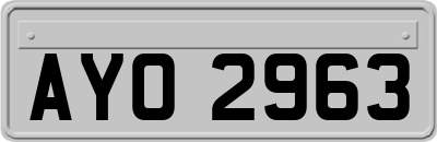 AYO2963