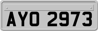 AYO2973