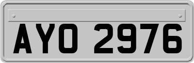 AYO2976