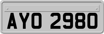 AYO2980
