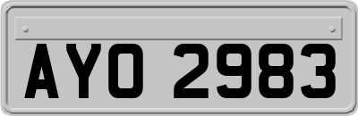 AYO2983