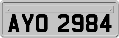 AYO2984