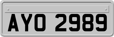 AYO2989