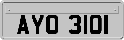 AYO3101