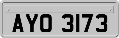 AYO3173