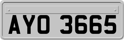 AYO3665