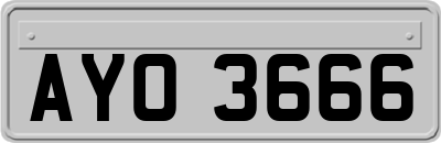 AYO3666