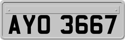 AYO3667