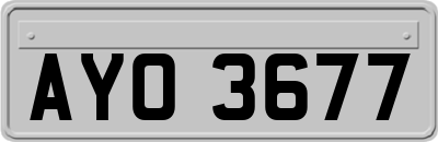 AYO3677