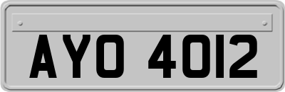 AYO4012