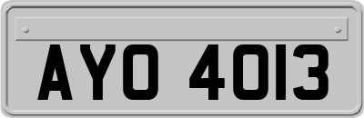 AYO4013