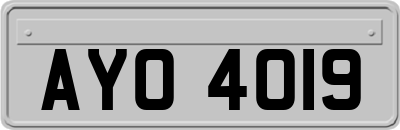 AYO4019