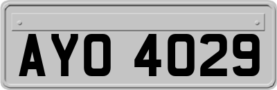 AYO4029