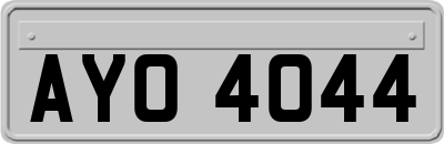 AYO4044
