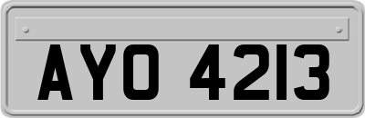 AYO4213