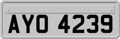 AYO4239