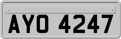 AYO4247