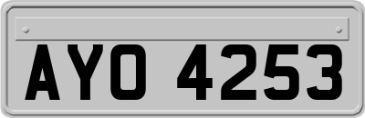 AYO4253
