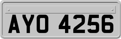 AYO4256